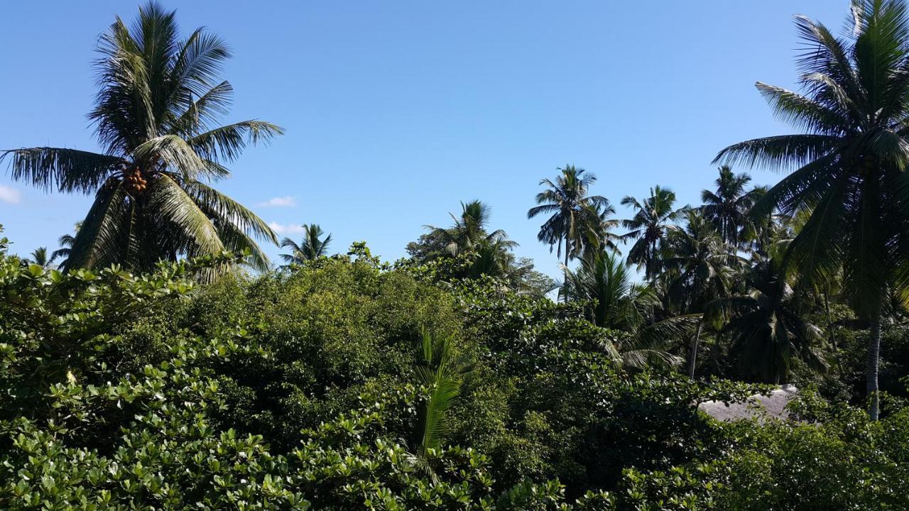 Green Almond Hotel Unawatuna Exterior photo